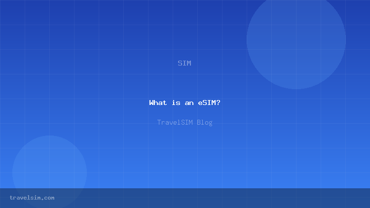What is an eSIM? Complete Beginner's Guide